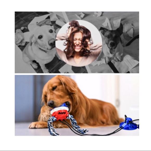 Heavy Duty Dog Tug toy for Aggressive Large Breed - Picture 7 of 10